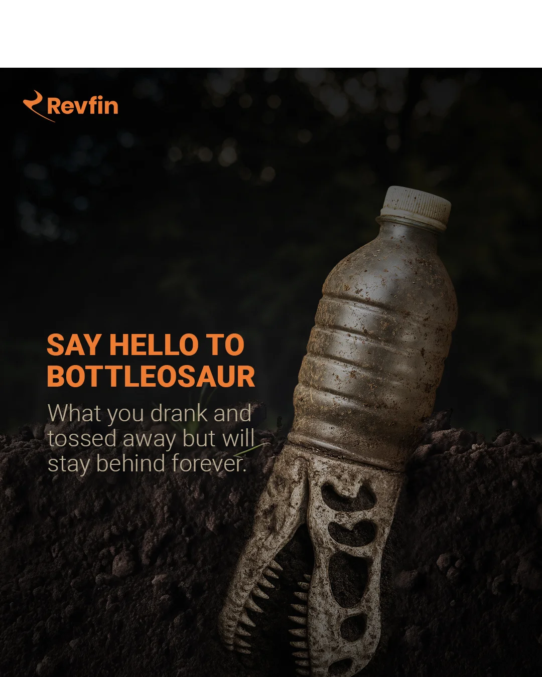 World Environment Day Campaign for a Series-B Fintech Company